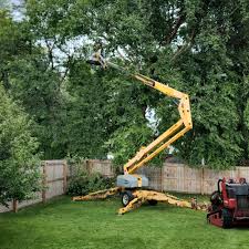 Best Arborist Consultation Services  in Langston, OK